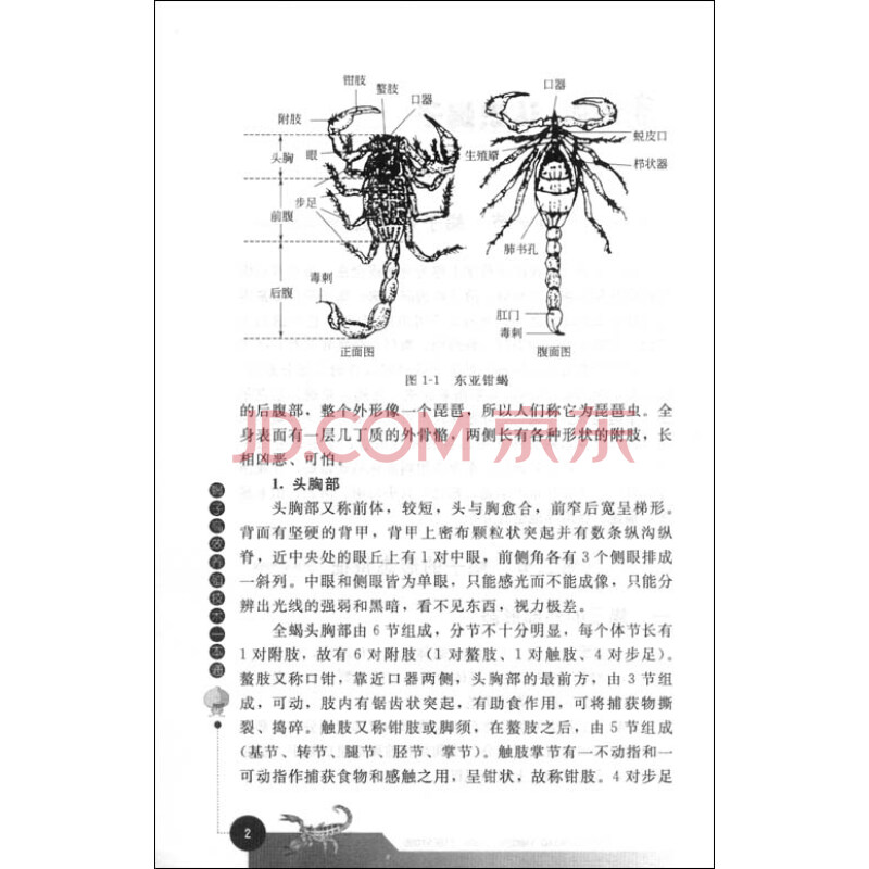 【蝎子结构】