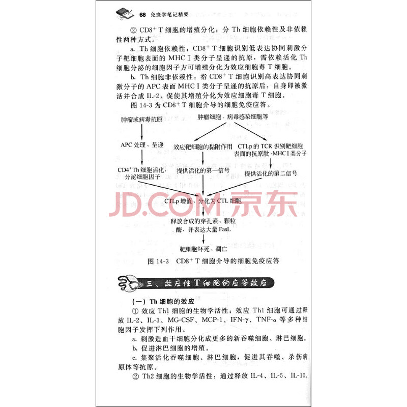 专属初中前是否加the呢?我记得名词时老师教测伏安物理电阻初中法图片