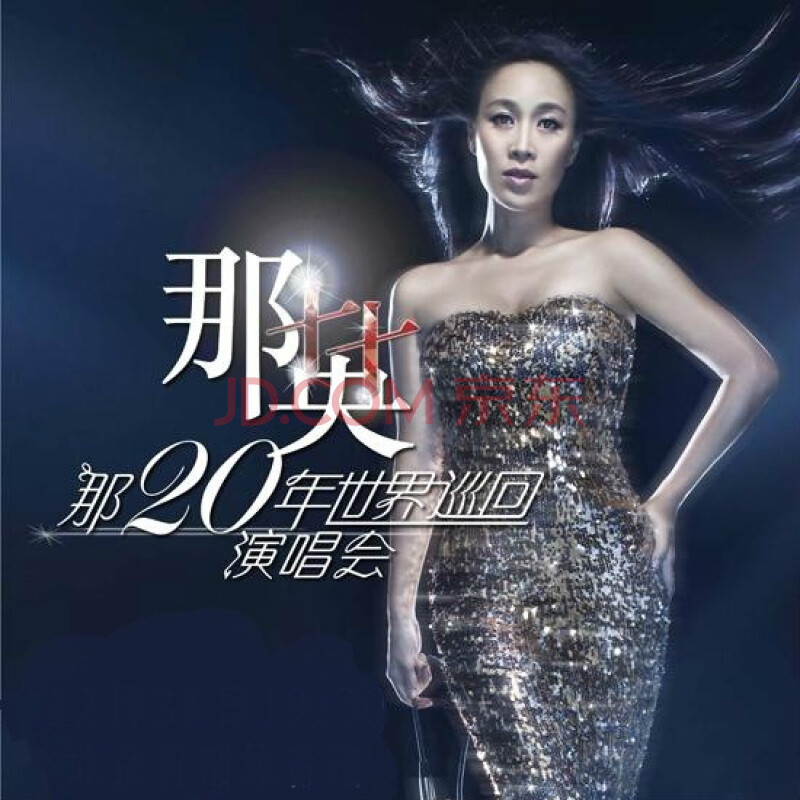 那二十年--那英世界巡回演唱会上海站2011年1