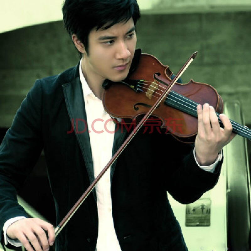 2011王力宏上海演唱会11月5日 380元图片