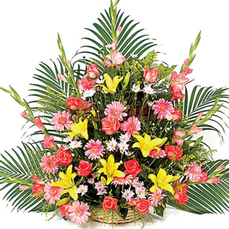 探望花篮 鲜花速递 混搭花篮【尚雅】图片