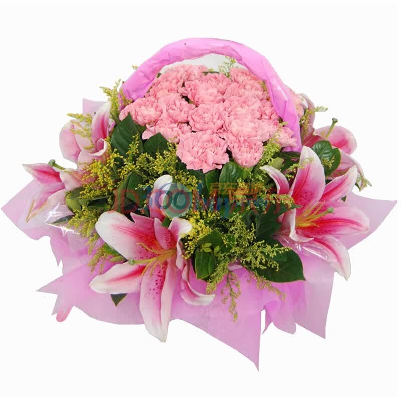 鲜花 <em>母亲节</em>康乃馨19枝 轻轻的问候 节日<em>祝福</em>礼