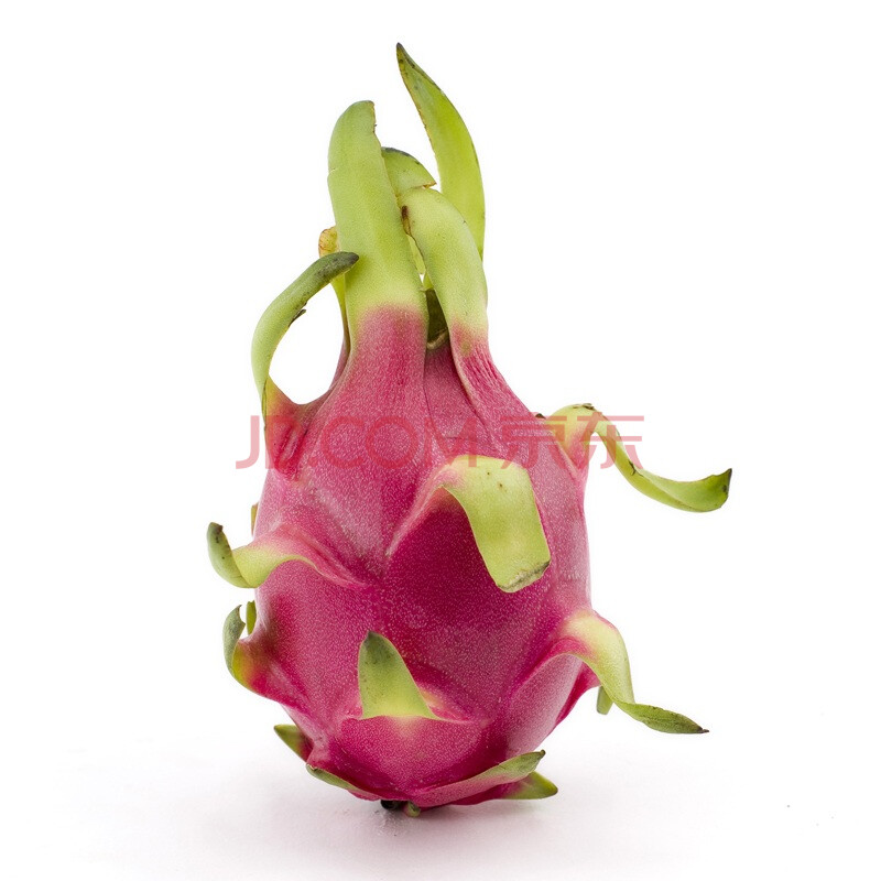 火龙果(小包装)(400g\/组)图片