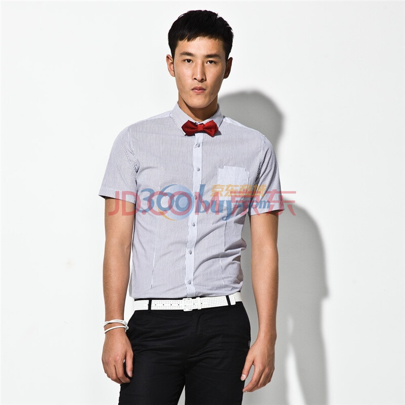 peacebird太平鸟 衬衫夏季男装2011新款直筒纯