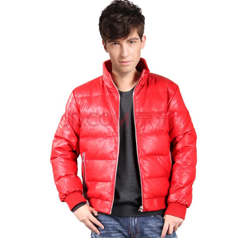 布尼斯DUNICE2012秋冬款保暖立领羽绒服<em>男</em>外