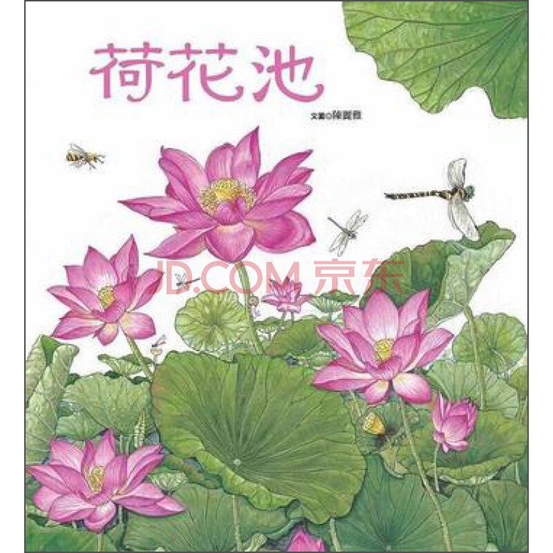 荷花池简笔画彩铅