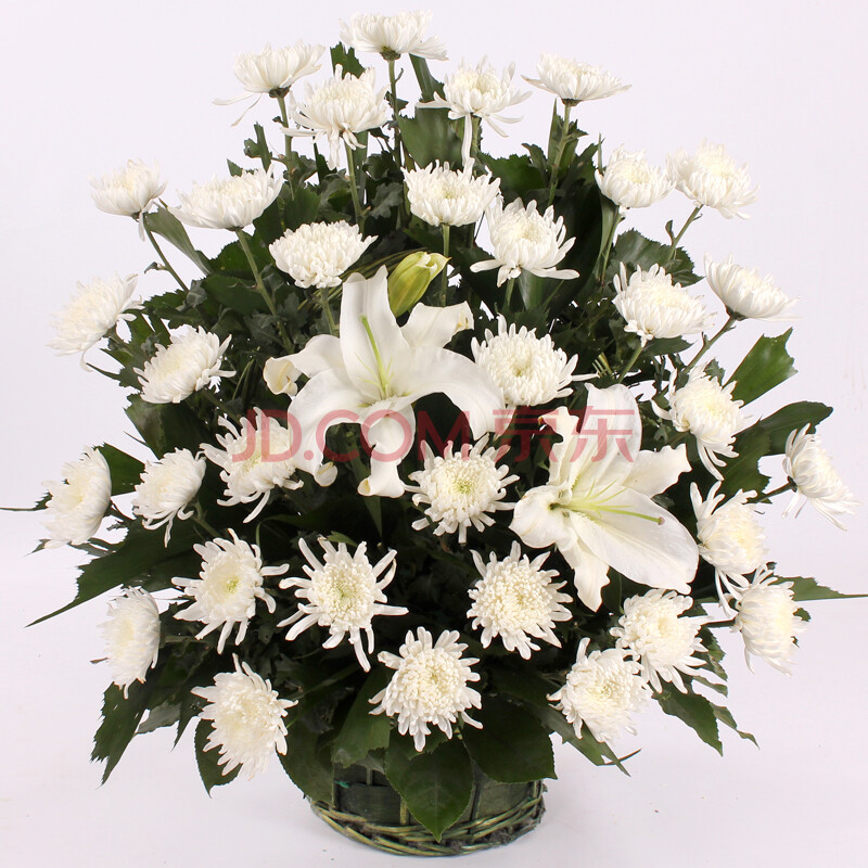 花之苑 鲜花速递 <em>白菊</em>花花篮 鲜花快递 清明节礼