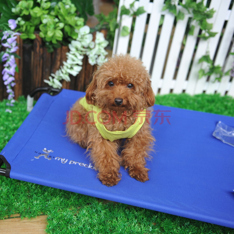 狗窝狗屋凉床散热板 沙滩床藤窝 春夏 狗床 宠物