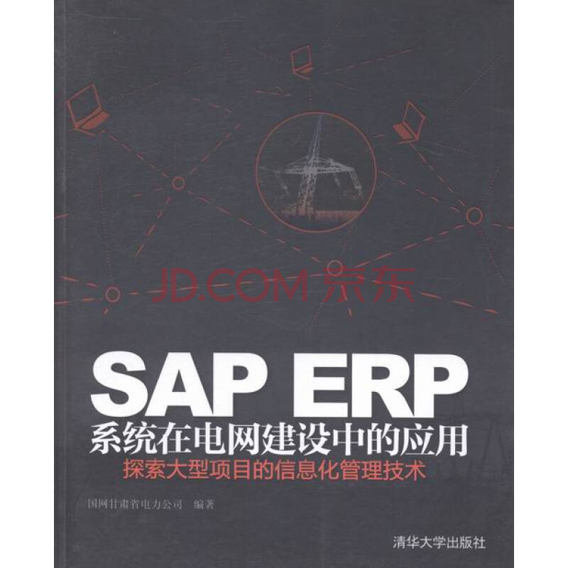 SAP ERP系统在电网建设中的应用-探索大型项