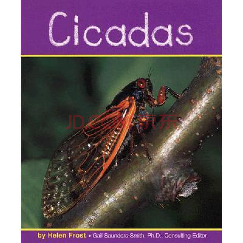 cicadas