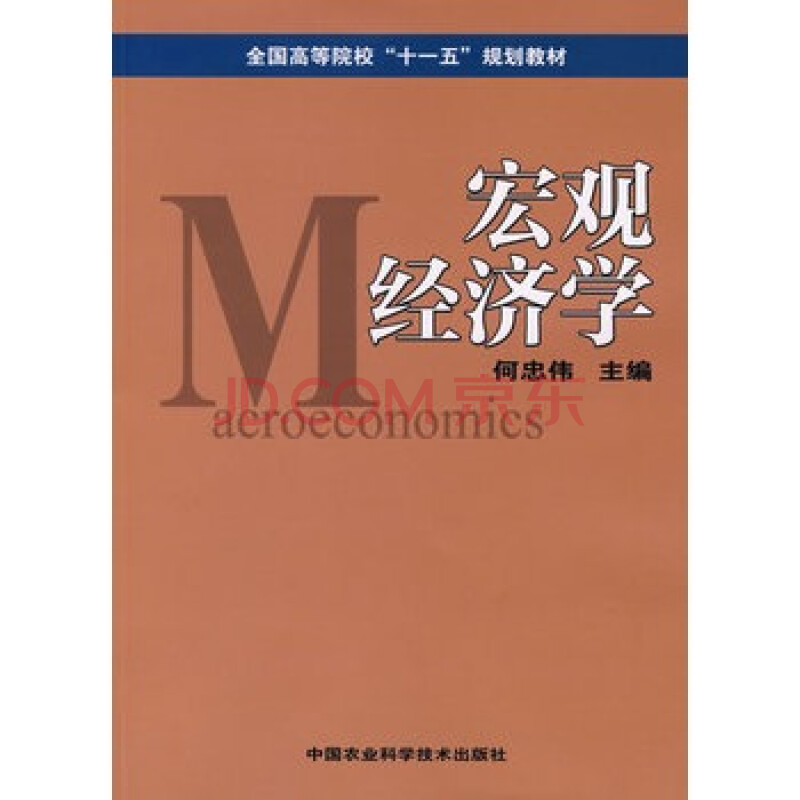 宏观经济学(全国高等院校"十一五"规划教材)