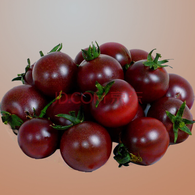 趣种 英国进口黑色樱桃番茄种子,小番茄黑珍珠