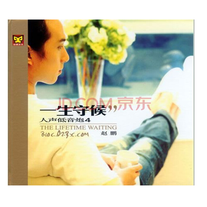 发烧碟CD涂鸦唱片 赵鹏人声低音炮4一生守候