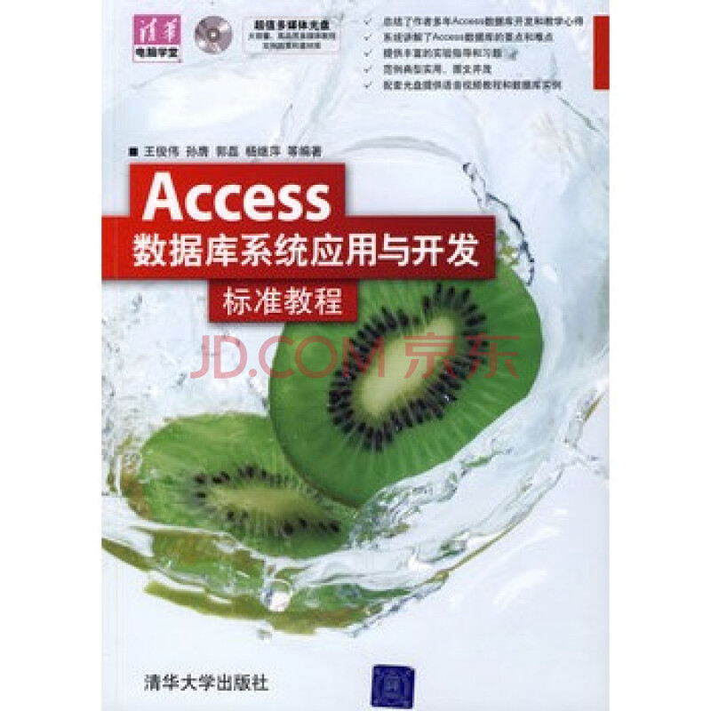 Access数据库系统应用与开发标准教程【有盘