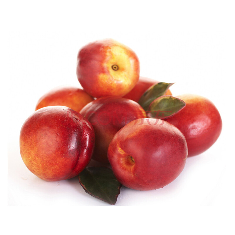 油桃-黄油桃是哪里的|油桃中油二十品种好吗|油