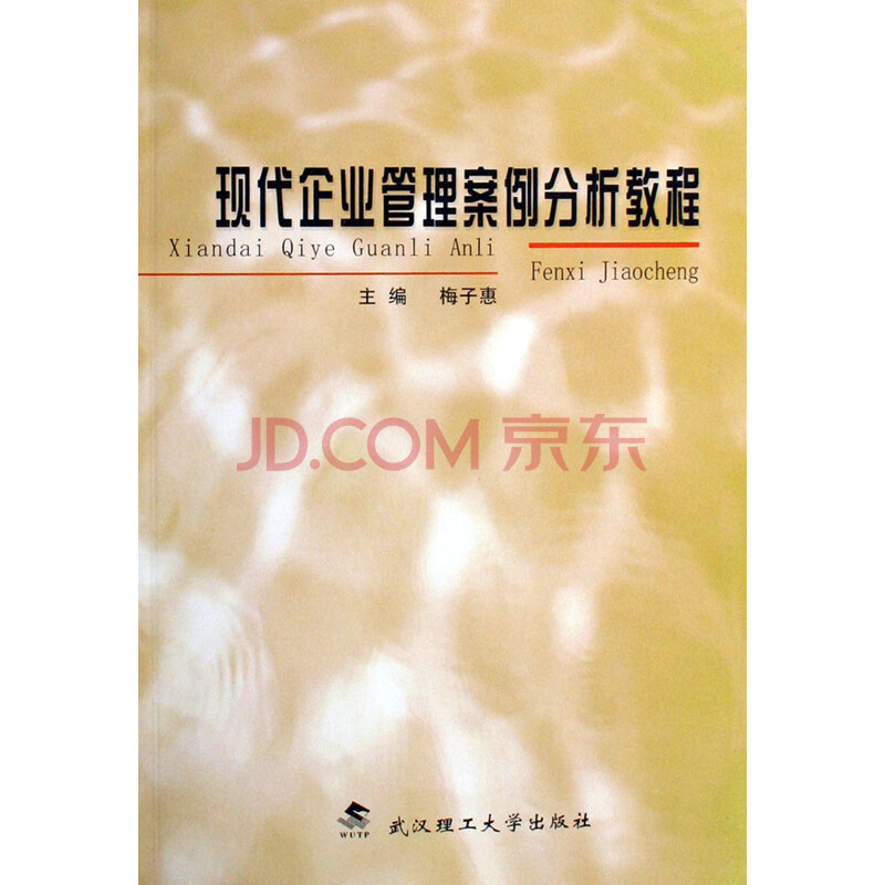 现代企业管理案例分析教程