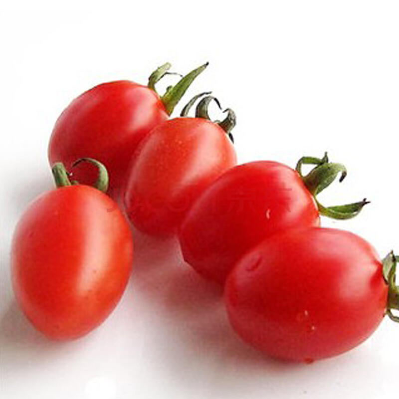 新鲜水果 海南千禧圣女果 小番茄1kg图片