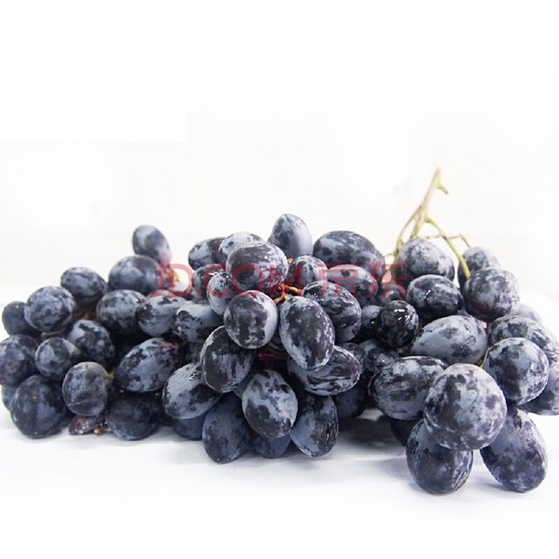 新鲜智利进口黑提 无籽黑提 果肉饱满 脆甜爽口