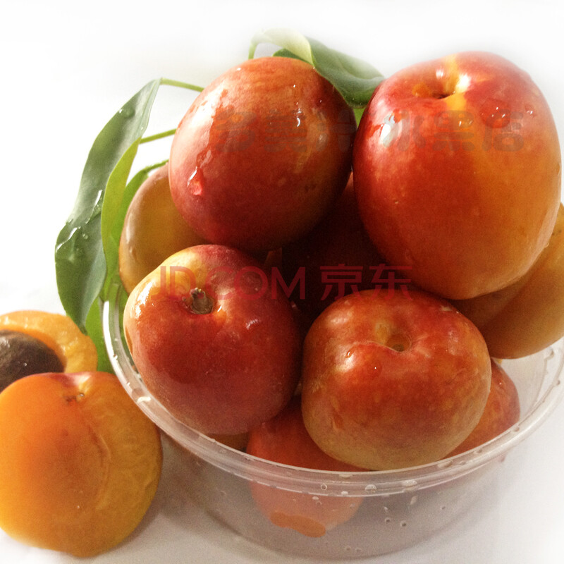 新疆杏新鲜水果哪里买卖比较好的 橙子新鲜水