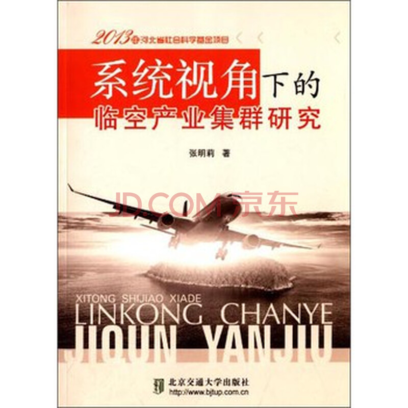 系统视角下的临空产业集群研究 张明莉图片