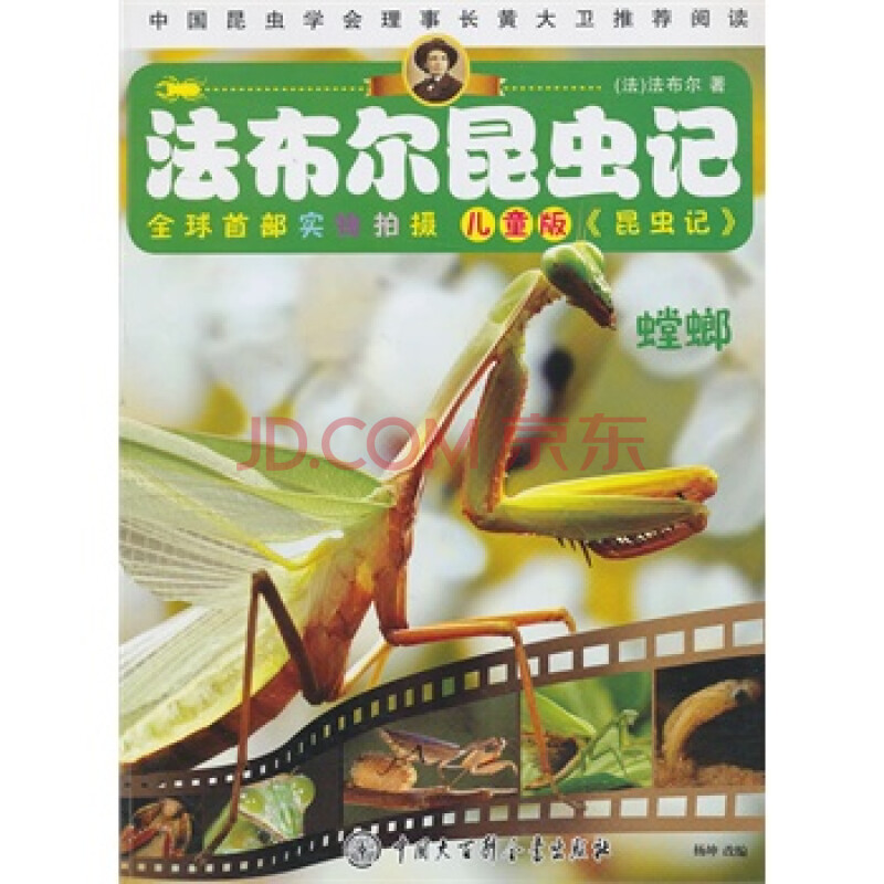 螳螂(儿童版)/法布尔昆虫记 (法)法布尔,杨坤 改编 中国大百科全书