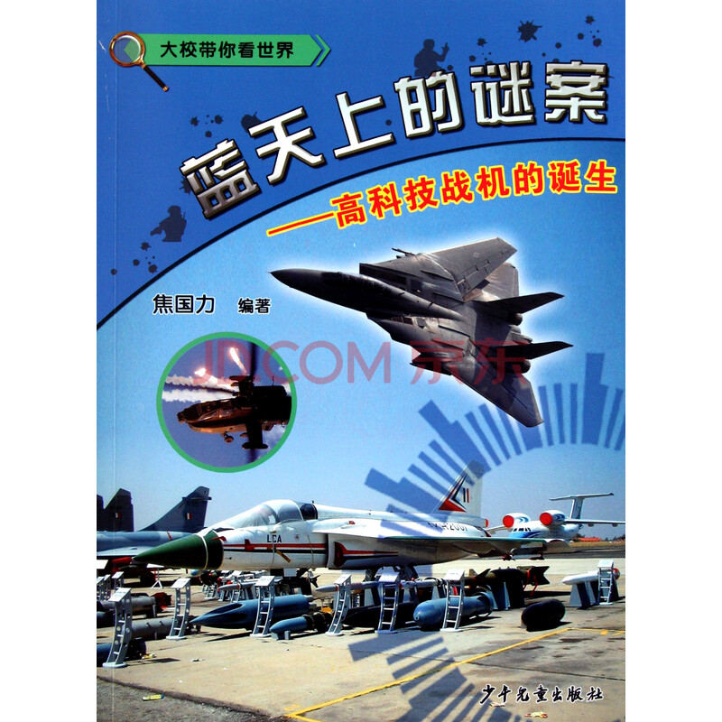 蓝天上的谜案--高科技战机的诞生/大校带你看世界