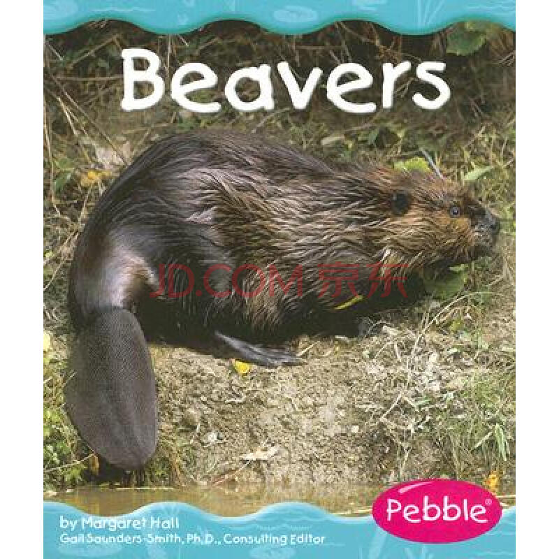 beavers [平装]