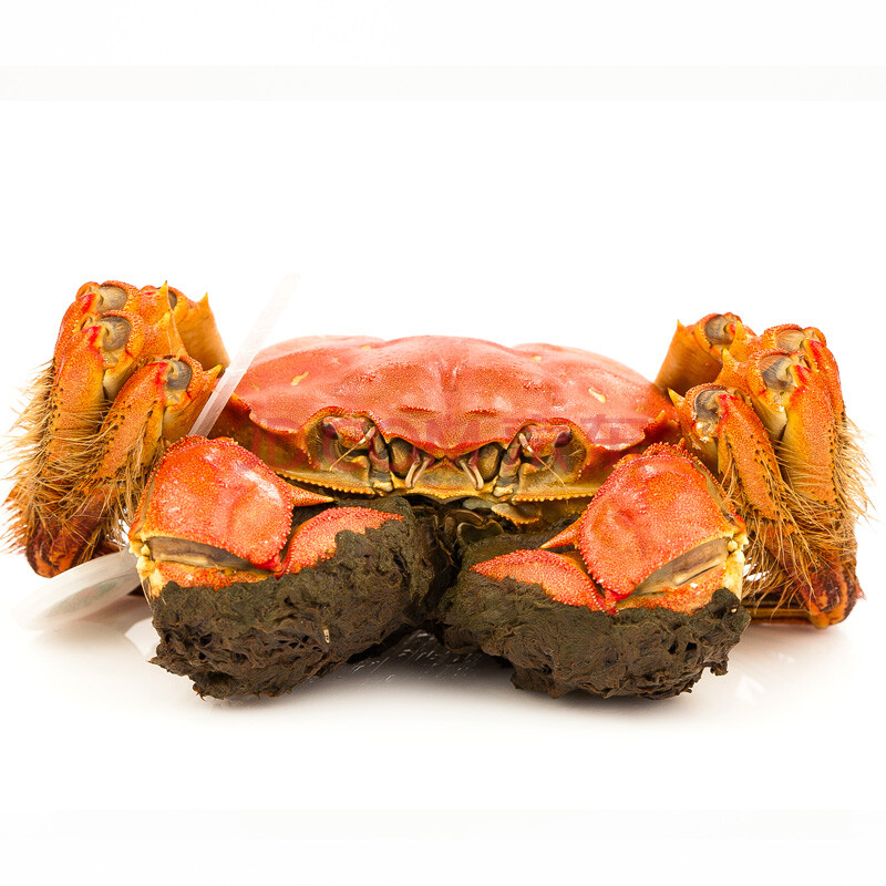 大家谁知道,0.4公顷等于多少亩地呢