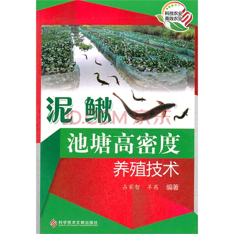 泥鳅池塘高密度养殖技术图片