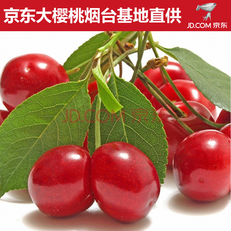 【预售】京东大樱桃红灯 大樱桃 2斤装发货时