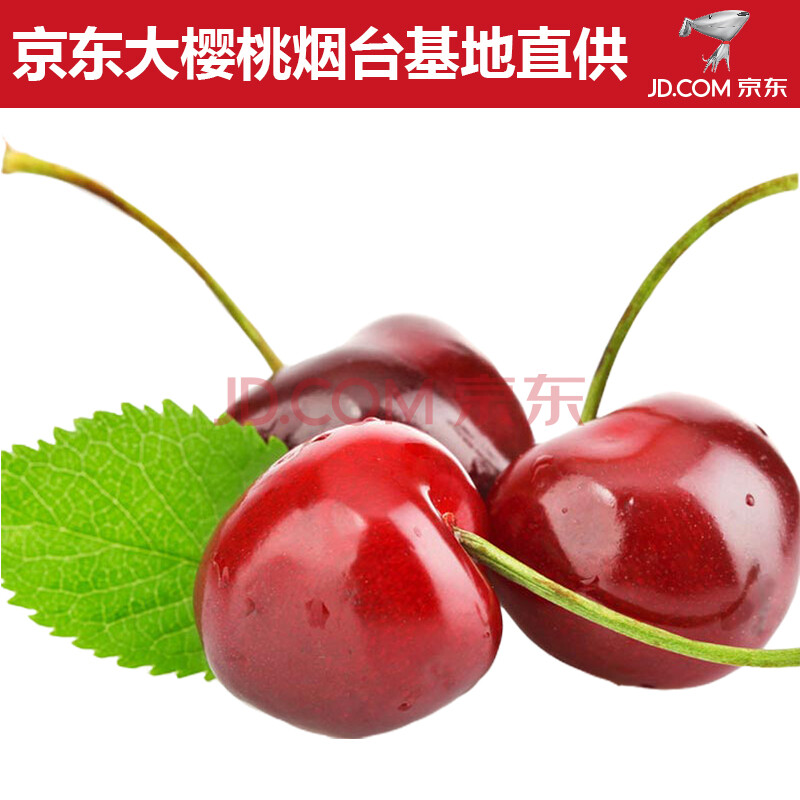 【预售】京东大樱桃红灯 大樱桃 5斤装发货时