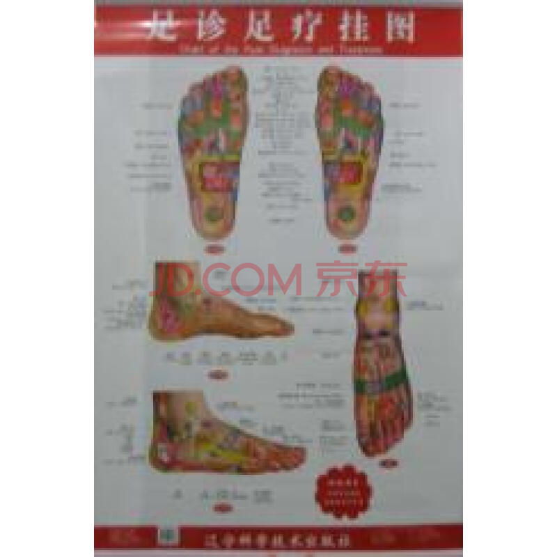 足诊足疗挂图(附说明书)