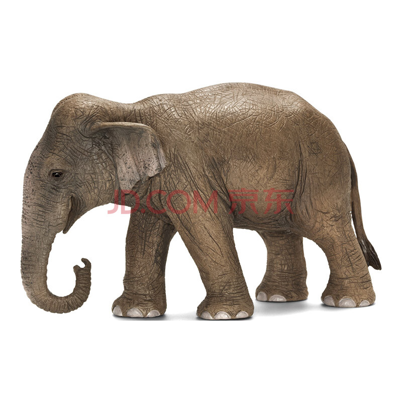 思乐schleich 仿真动物模型 yt6581-0028 母亚洲象