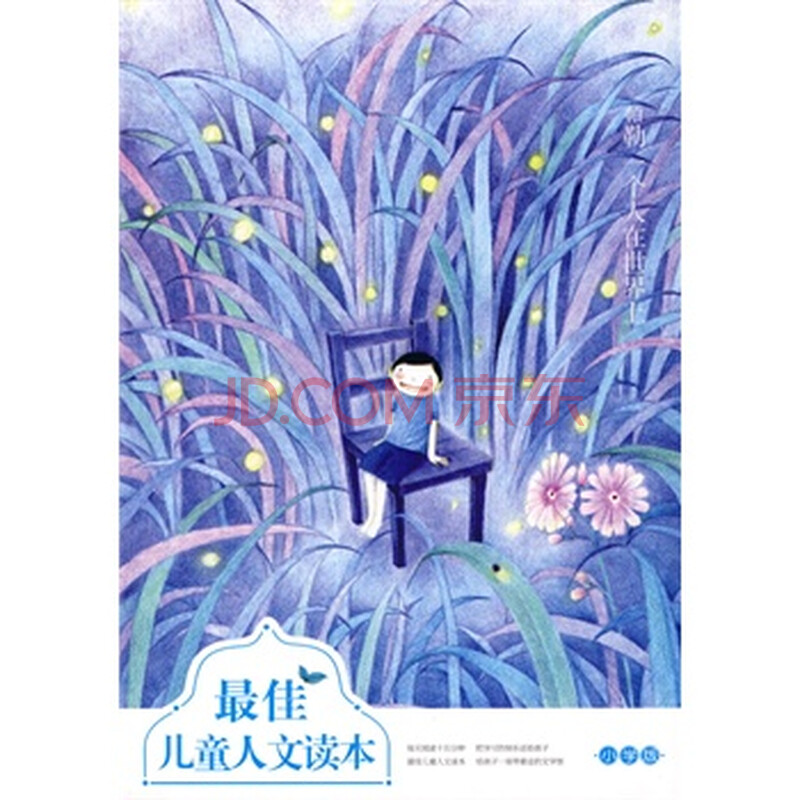 佳儿童人文读本--帕勒一个人在世界上 王海峰 