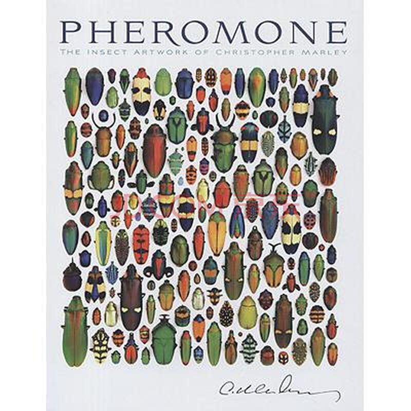 pheromone,pheromone香水 pheromone: the insect artwork of christoph.