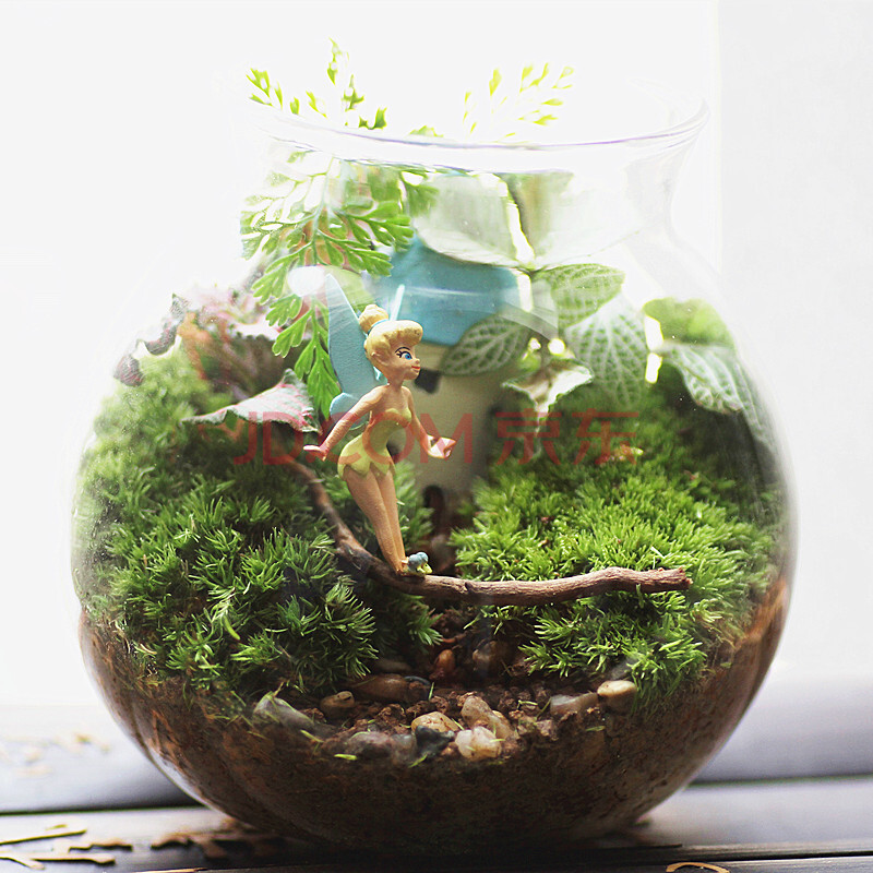 创意<em>绿植小仙女</em>小叮当