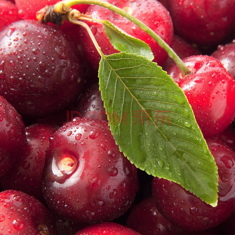 预售山东烟台大樱桃新鲜车厘子(2000g)产地直