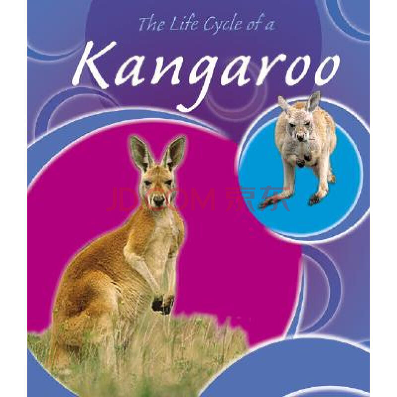 【预订】the life cycle of a kangaroo