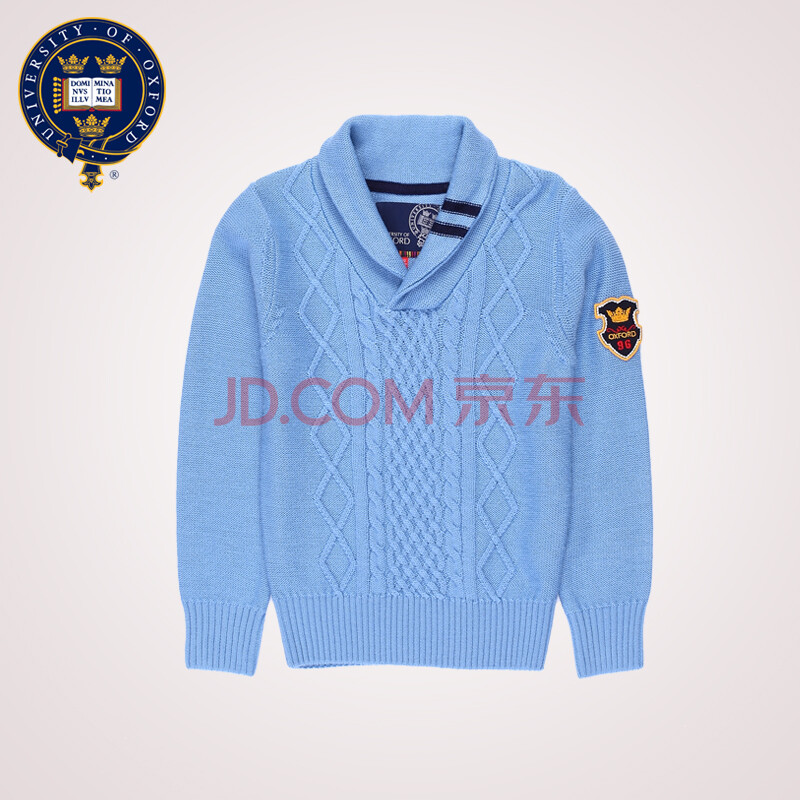 <em>男童翻领毛衣</em>