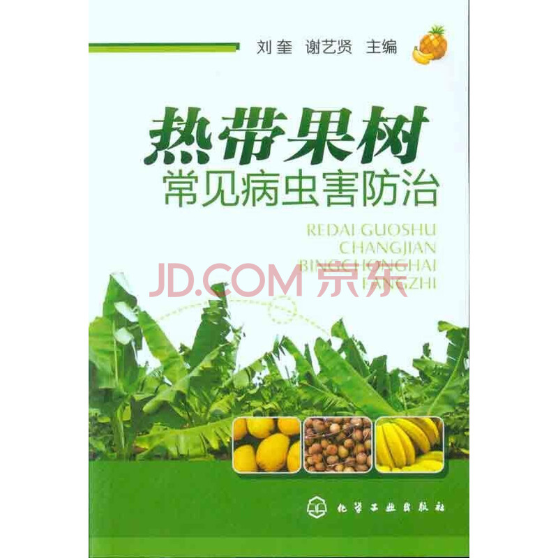 热带果树常见病虫害防治图片