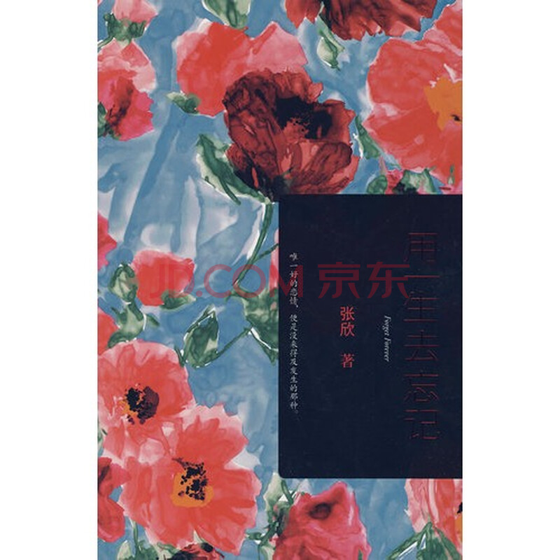 用一生去忘记图片