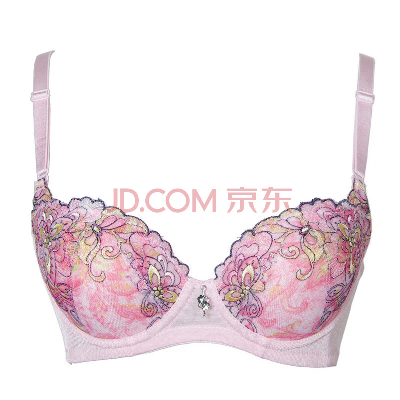 Siti诗婷 <em>女士内衣</em>精美刺绣加厚模杯A杯聚拢文