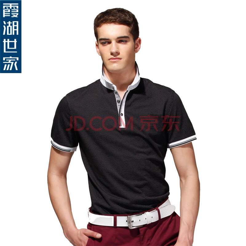 霞湖世家\无花优品 2012新品男士翻领商务休闲