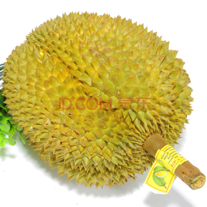 泰国金枕头榴莲+6斤装