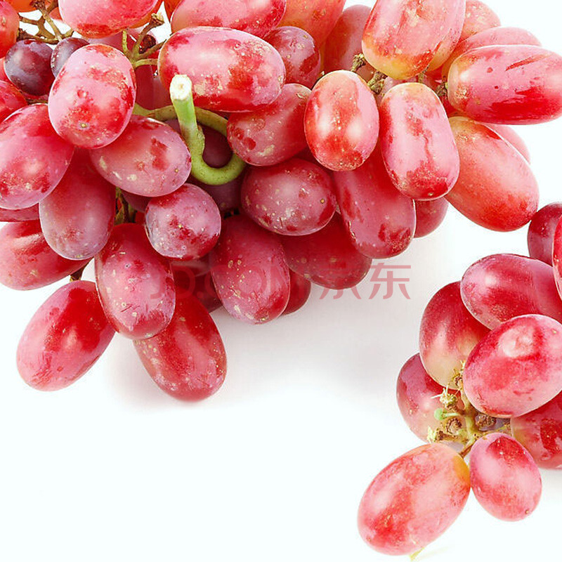 秘鲁红提+进口水果