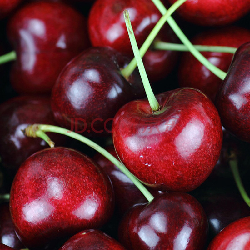美国车厘子+5kg\/箱图片
