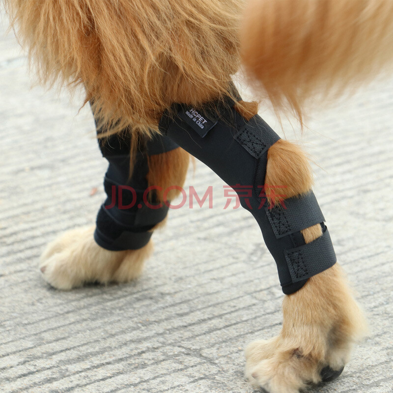 宠物护腿护膝盖保护套泰迪狗狗手术受伤固定狗脚金毛大型犬腿护具