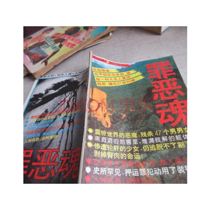 【二手书9成新】罪恶魂(原名血溅讷河)震惊世界的恶魔残杀47个男男女