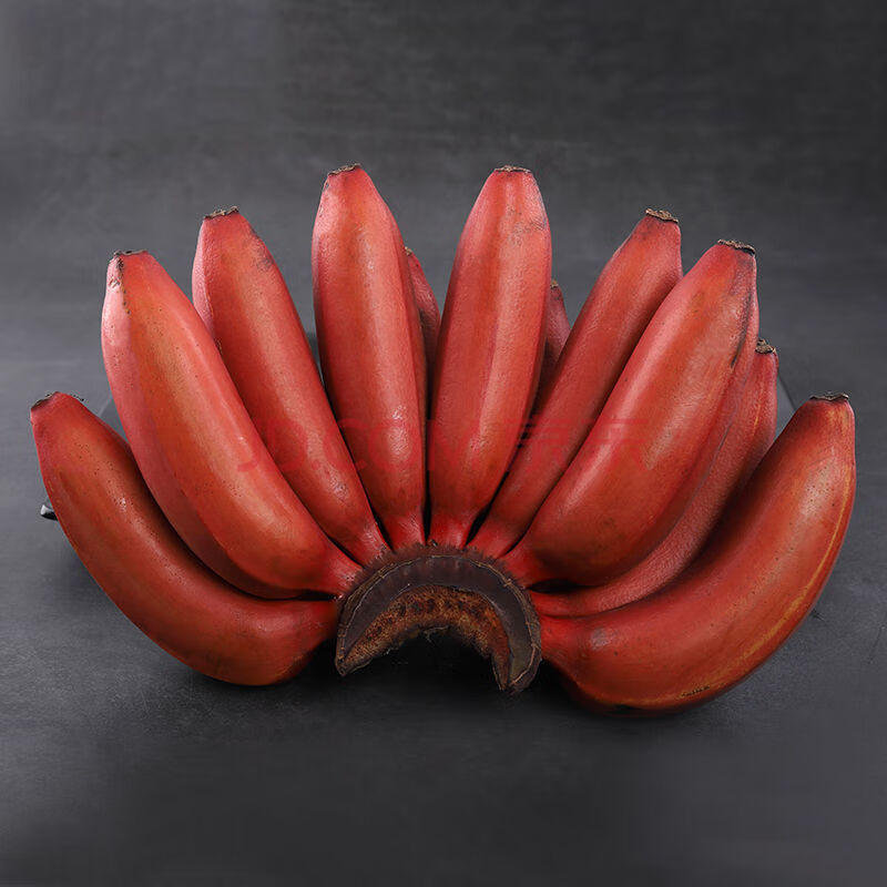 现割红皮香蕉10斤福建土楼当季新鲜水果红美人红香蕉2-5斤banana 精选