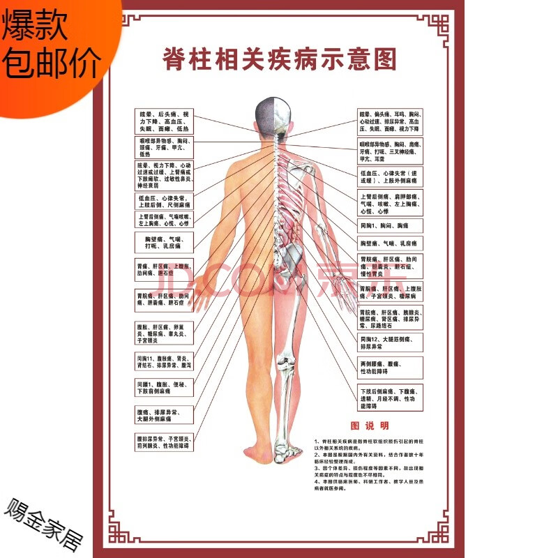 人体骨骼图挂图器官内脏结构图海报脊柱图解肌肉分布解剖图挂画(背胶